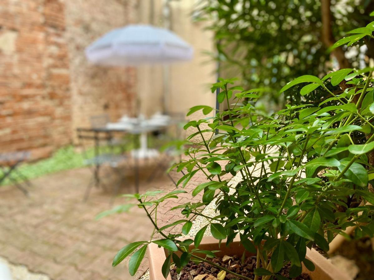 Apartament L'Improbable Rendez-Vous Montauban Zewnętrze zdjęcie